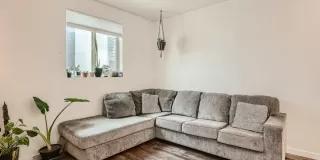 Photo #1: 222064145 Listing 