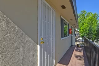 Photo #4: 222065571 Listing