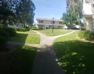 Photo #3: 222065987 Listing