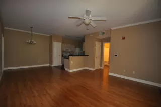 Photo #3: 222067568 Listing 