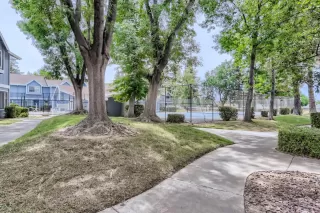 Photo #1: 222068470 Listing 