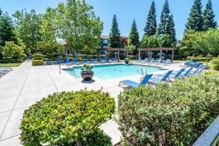 Photo #6: 222070239 Listing