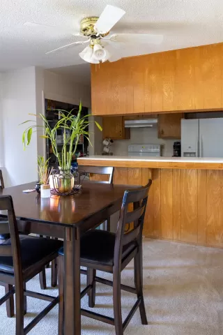 Photo #4: 222070494 Listing