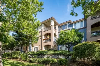 Photo #1: 222073463 Listing