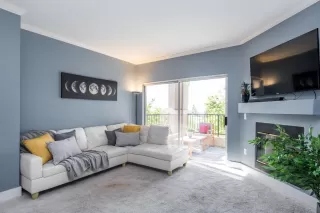 Photo #2: 222073463 Listing