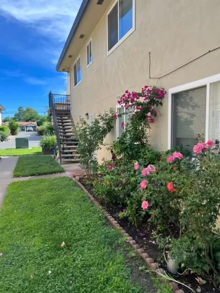 Photo #4: 222074777 Listing