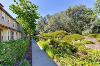 Photo #2: 222078706 Listing