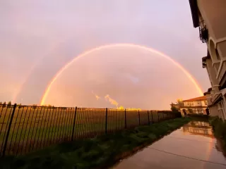 Photo #4: 222079478 Listing