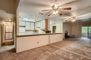 Photo #1: 222080491 Listing