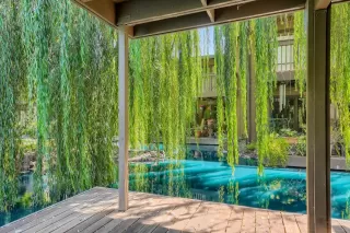 Photo #4: 222082469 Listing 