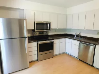 Photo #5: 222082704 Listing 