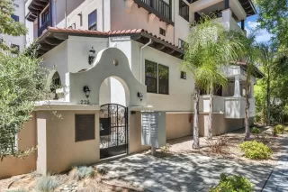 Photo #1: 222082746 Listing 