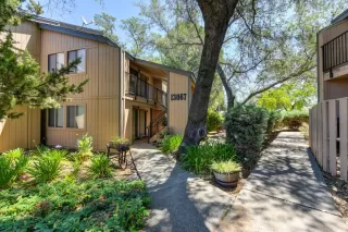 Photo #1: 222083082 Listing 