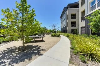 Photo #1: 222083239 Listing