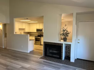 Photo #1: 222084257 Listing