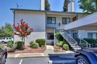 Photo #1: 222084680 Listing