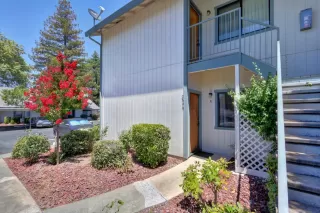 Photo #3: 222084680 Listing