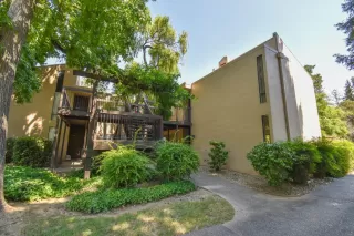 Photo #1: 222087196 Listing