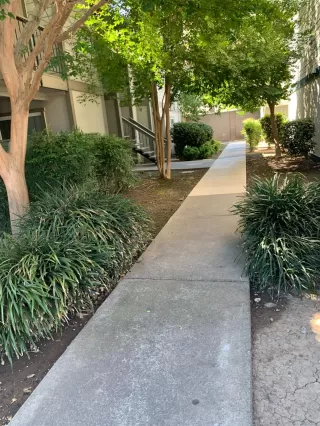 Photo #1: 222088489 Listing