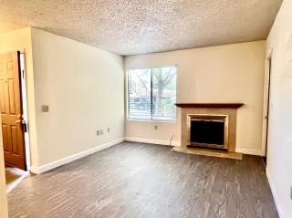 Photo #5: 222089670 Listing