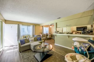 Photo #1: 222093116 Listing 
