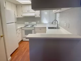 Photo #1: 222093765 Listing