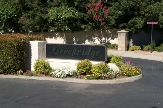 Photo #1: 222094732 Listing