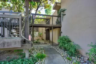 Photo #1: 222096224 Listing 