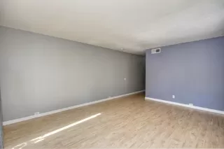 Photo #2: 222096224 Listing 