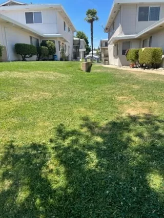 Photo #2: 222098949 Listing 
