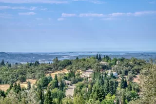 Photo #1: 222099291 Listing 