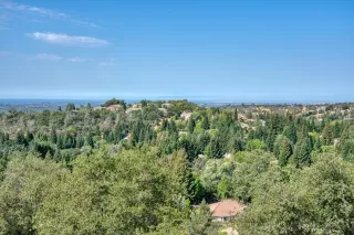 Photo #2: 222099291 Listing 