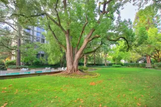 Photo #1: 222099617 Listing