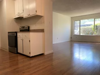 Photo #6: 222100552 Listing 