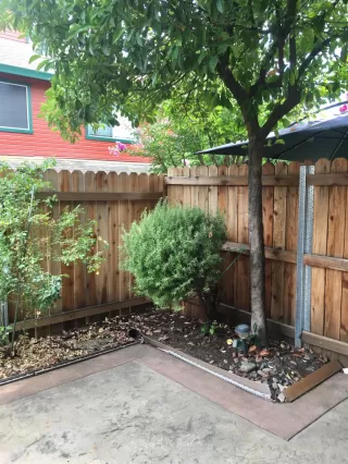 Photo #2: 222102166 Listing