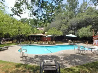 Photo #4: 222102166 Listing