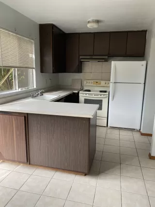 Photo #5: 222103241 Listing 