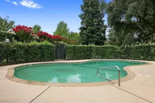 Photo #5: 222103426 Listing