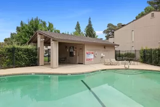 Photo #6: 222103426 Listing