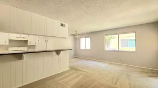 Photo #4: 222103907 Listing 