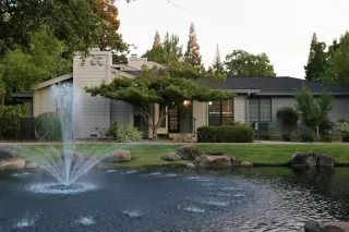 Photo #1: 222104783 Listing