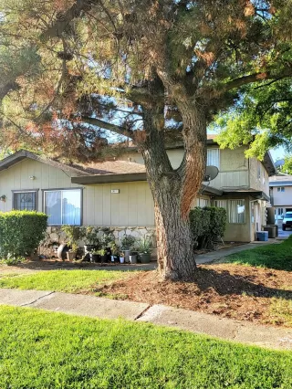 Photo #1: 222105748 Listing 
