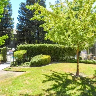 Photo #1: 222105982 Listing 