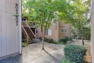 Photo #1: 222106223 Listing