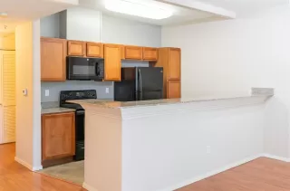 Photo #5: 222106654 Listing