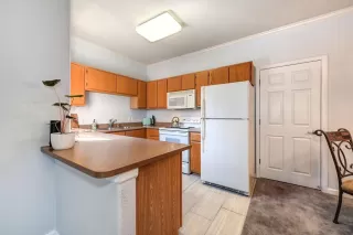Photo #6: 222106740 Listing 