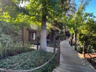 Photo #1: 222109701 Listing 