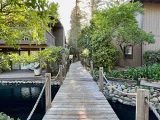 Photo #2: 222109701 Listing 
