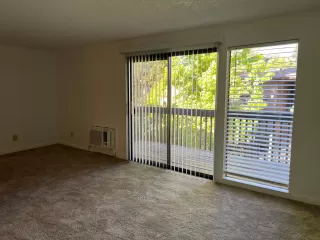 Photo #5: 222109701 Listing 