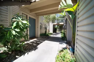 Photo #1: 222109895 Listing 